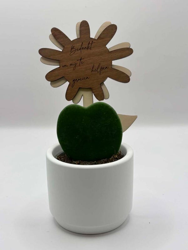 mini plantje