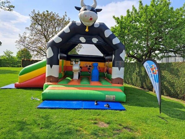Multifun Koe