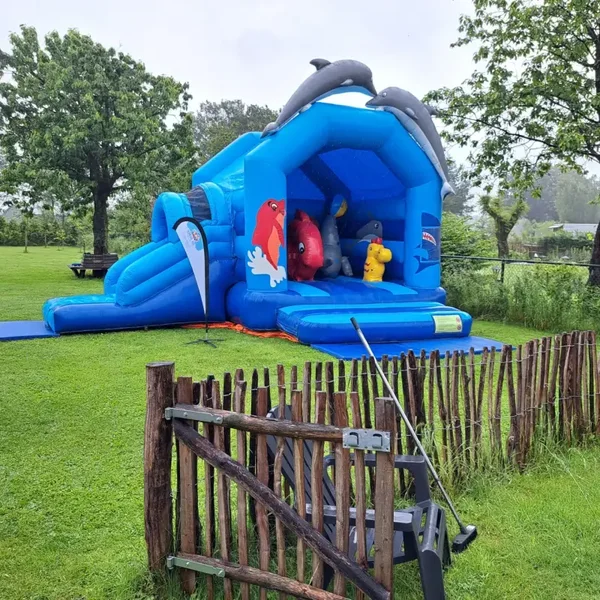 Mulitifun Dolfijn