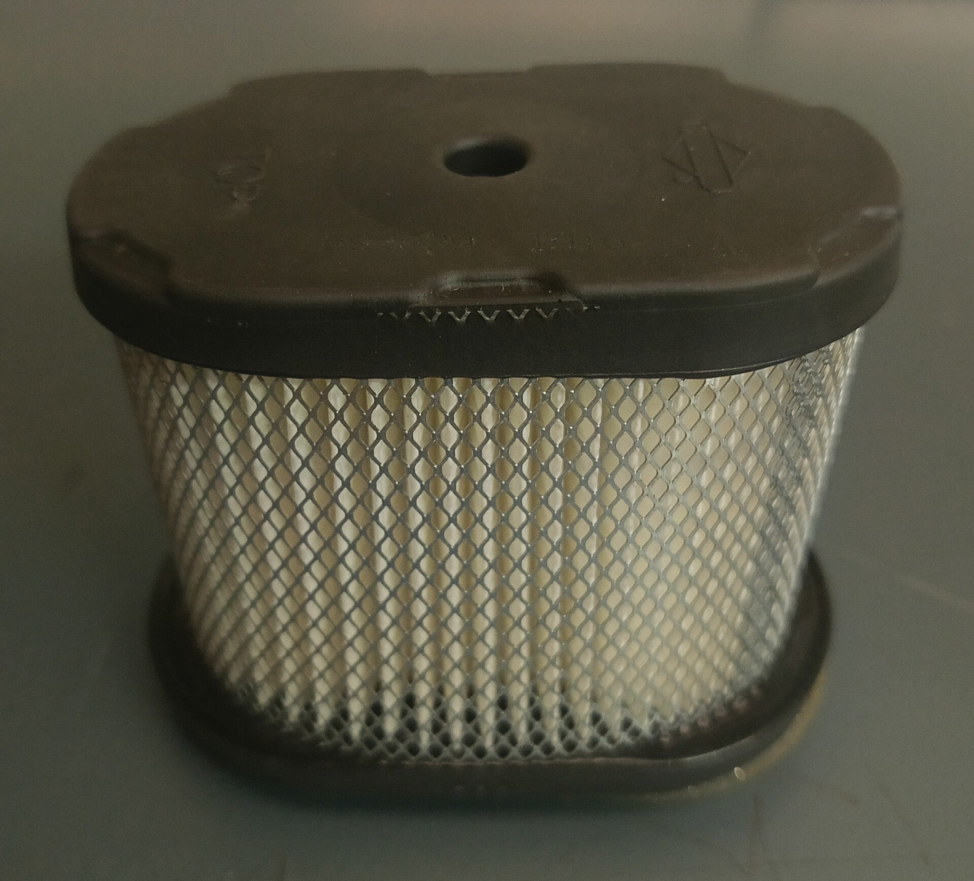 FILTRO ARIA BRIGGS & STRATTON 697029