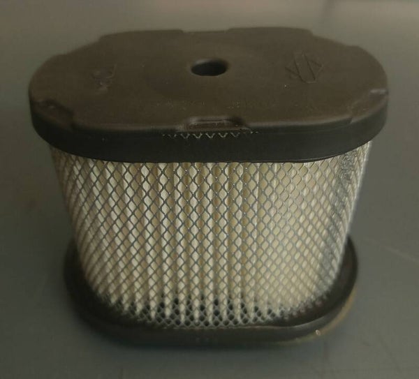 FILTRO ARIA BRIGGS & STRATTON 697029