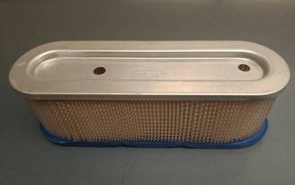 FILTRO ARIA BRIGGS & STRATTON 399806S