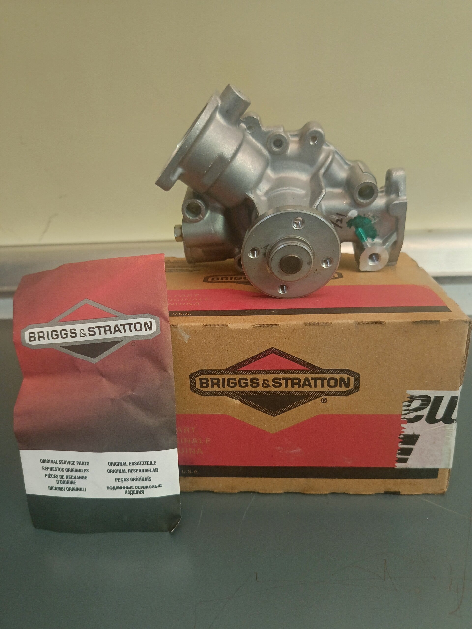 POMPA DELL' ACQUA BRIGGS & STRATTON 825265