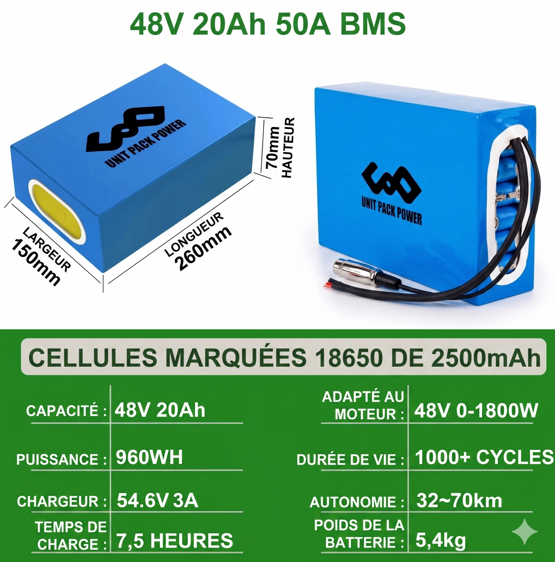UnitPackPower 48V 20Ah 50A