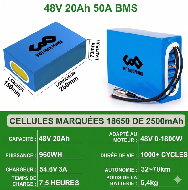 UnitPackPower 48V 20Ah 50A