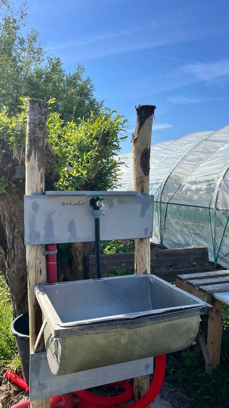 Drinkwater om de oogst te spoelen