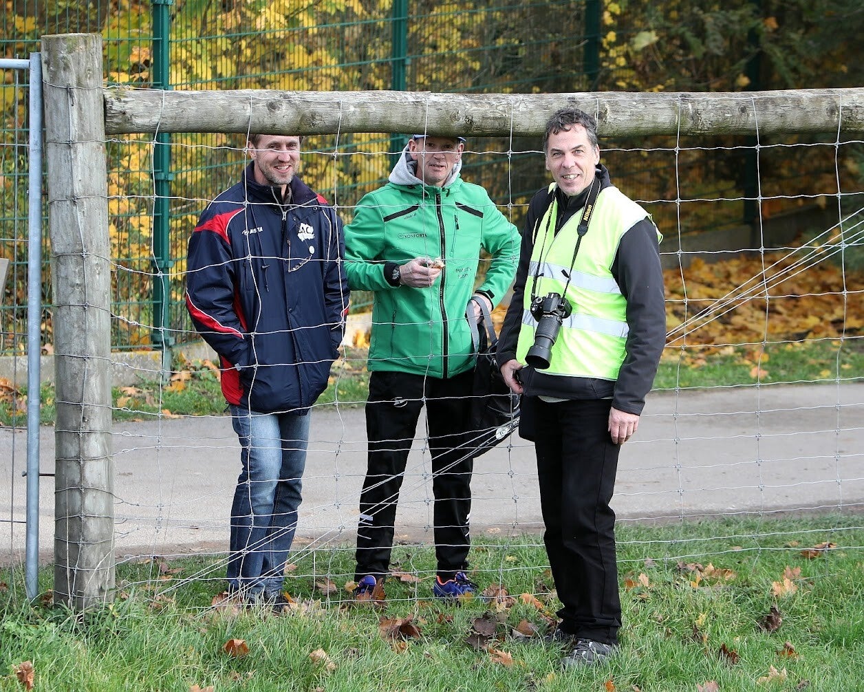 sized_deinze-veldloop-2466-standard.jpg