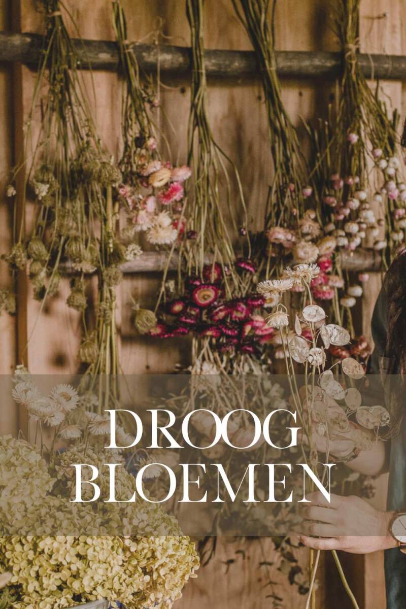 Droogbloemzaden | Flower Happiness