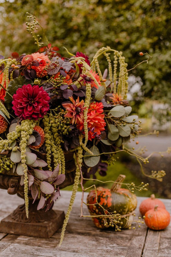 Amaranthus Green | Kattenstaart groen