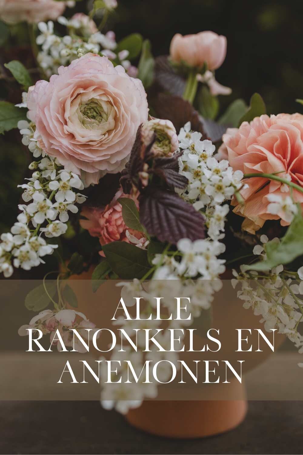 Bestel hier je ranonkels en anemomen met gratis instrucitie video om ze te kweken | Ranonkels kweken | Flower Happiness