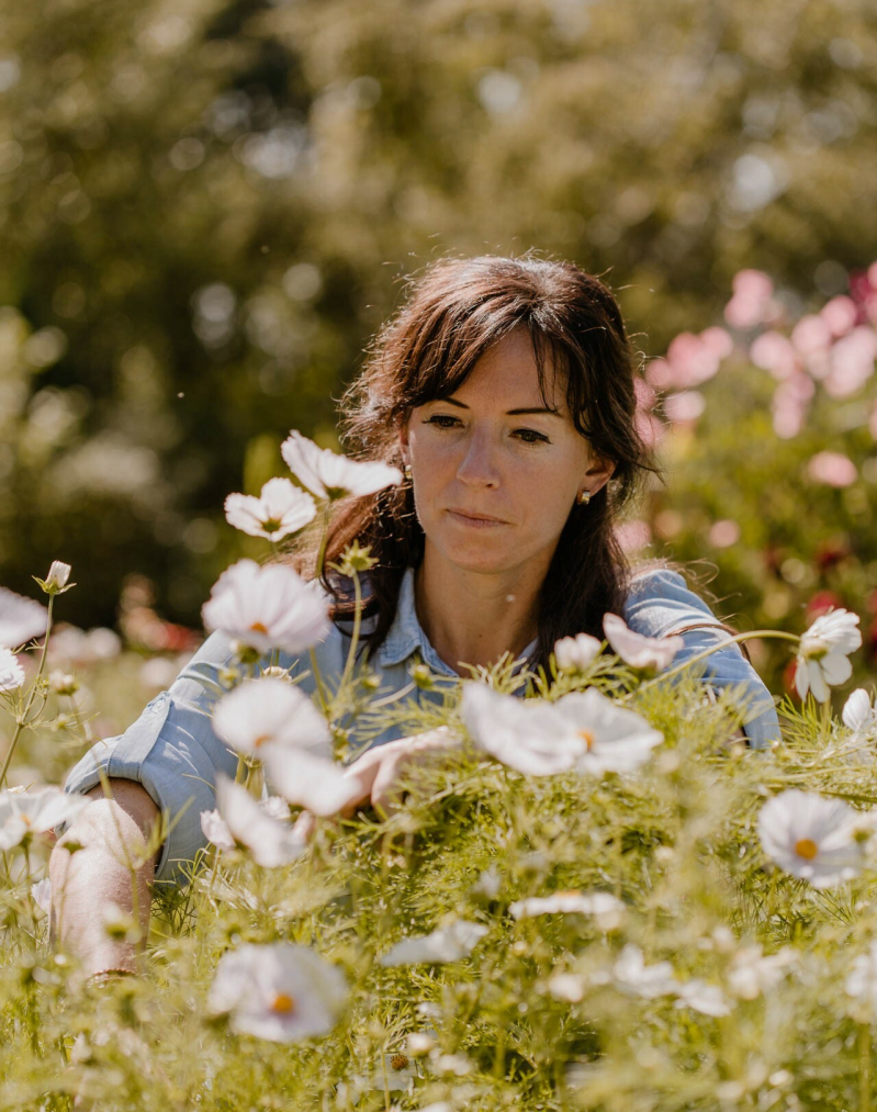 Zadenshop met meer dan 140 bloemzaden op voorraad voor de bloementuin en pluktuin