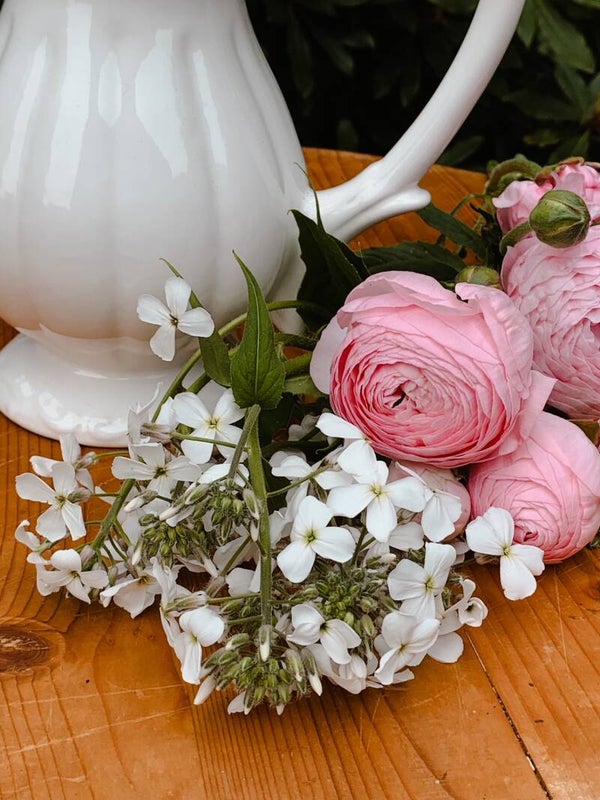 Ranonkels Italian mix