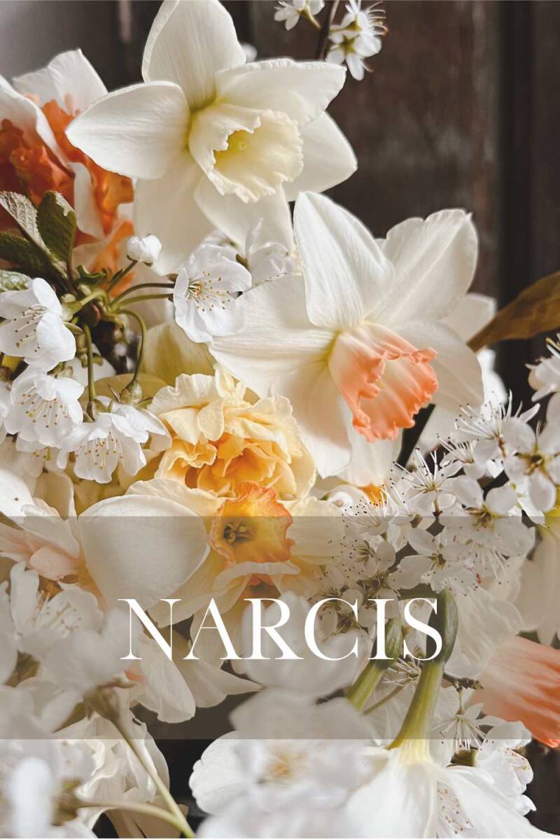 Bestel hier de mooiste narcissen voor je bloementuin | Flower Happiness