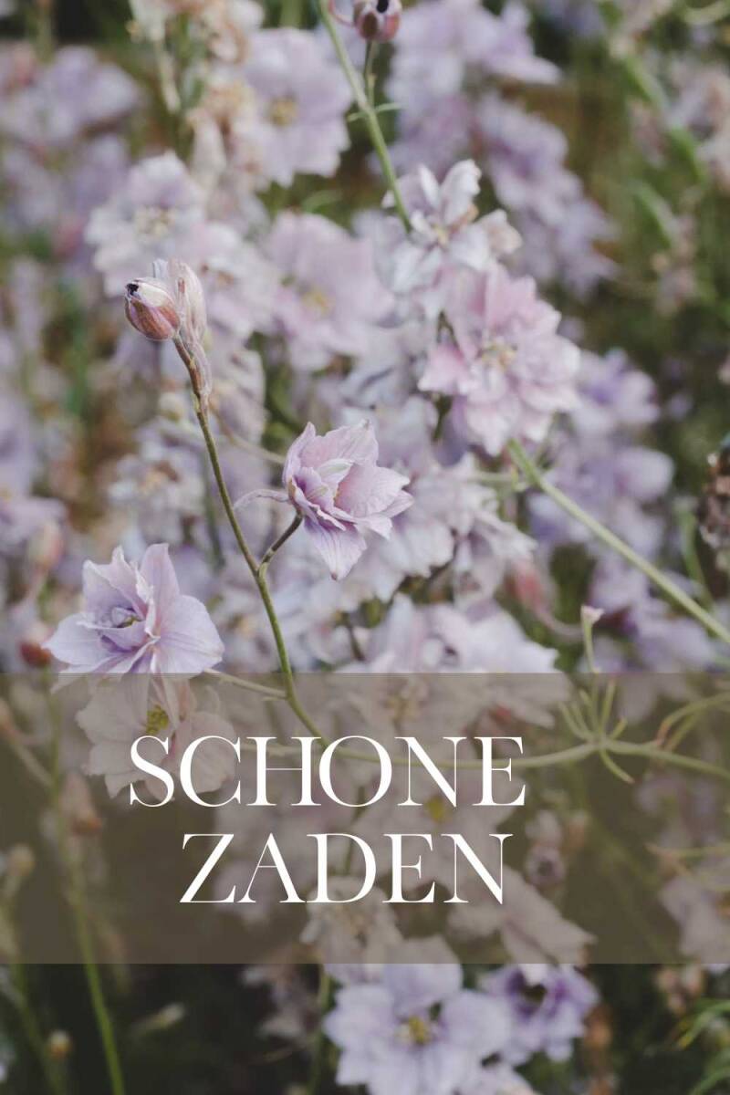 Gifvrije bloemzaden voor de bloementuin | Flower Happiness