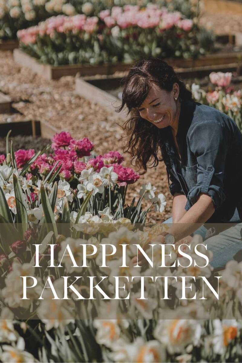 bloembollen pakketten vol Spring Happiness | Flower Happiness