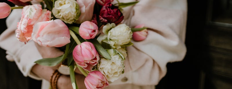 Bos vol voorjaarsbloemen