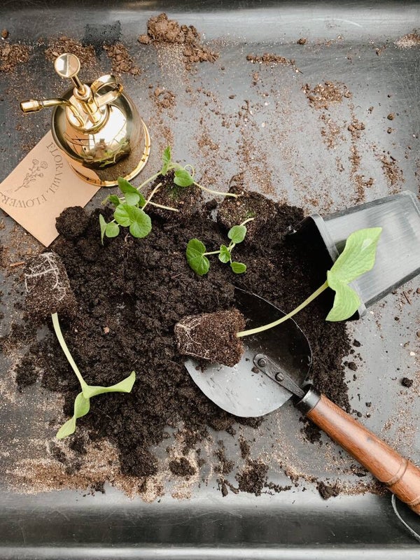 Vintage Plantenschepje