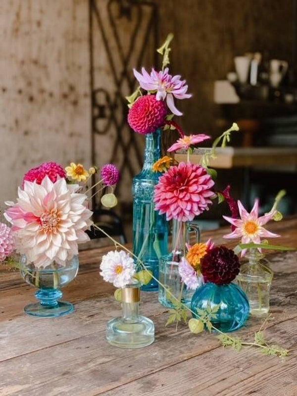 Dahlia Leila Savanne Rose