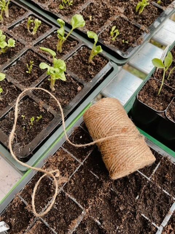 Binddraad Jute touw | Jute garden twine