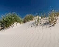 witte stranden en rustig water Ameland