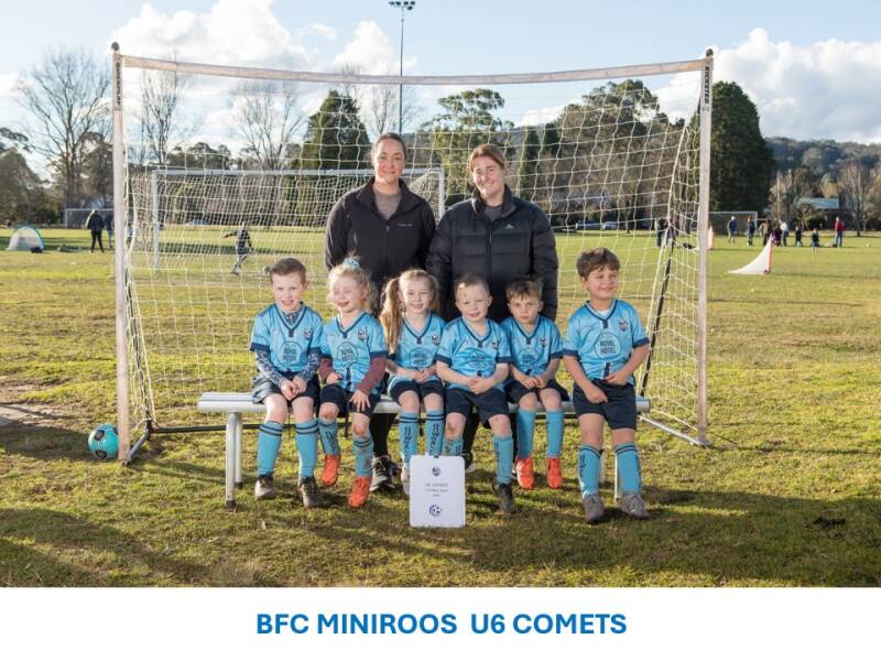 Miniroos