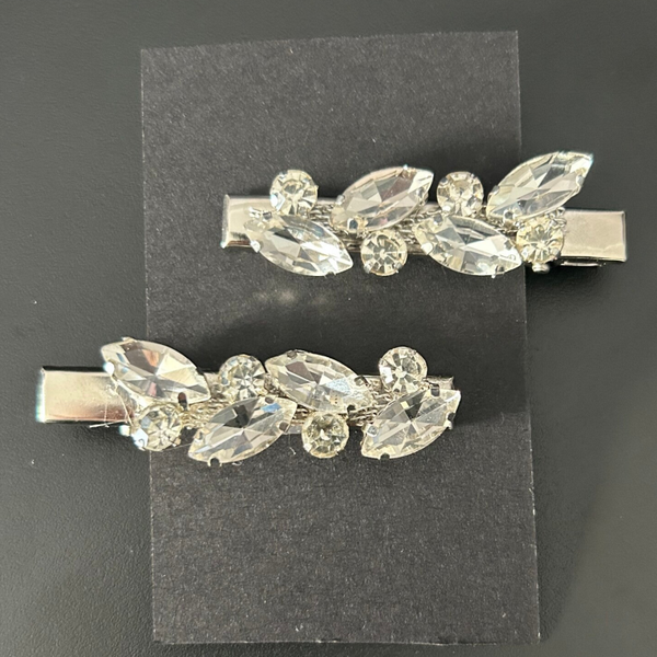 Silver hair clips