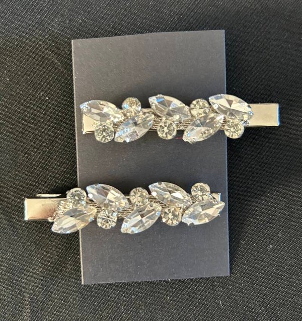 Silver hair clips