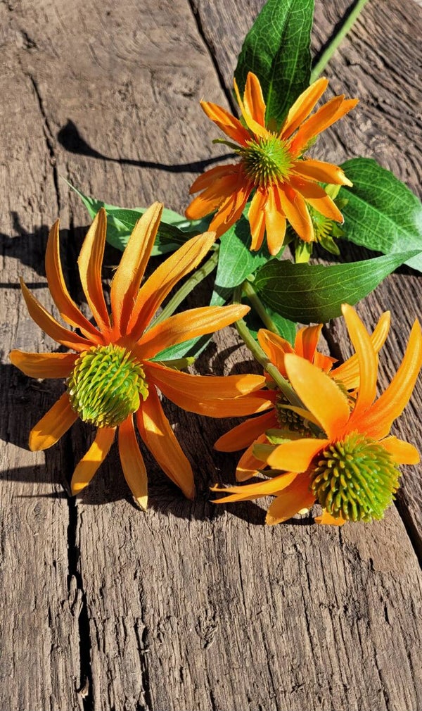 Rudbeckia Orange 73cm