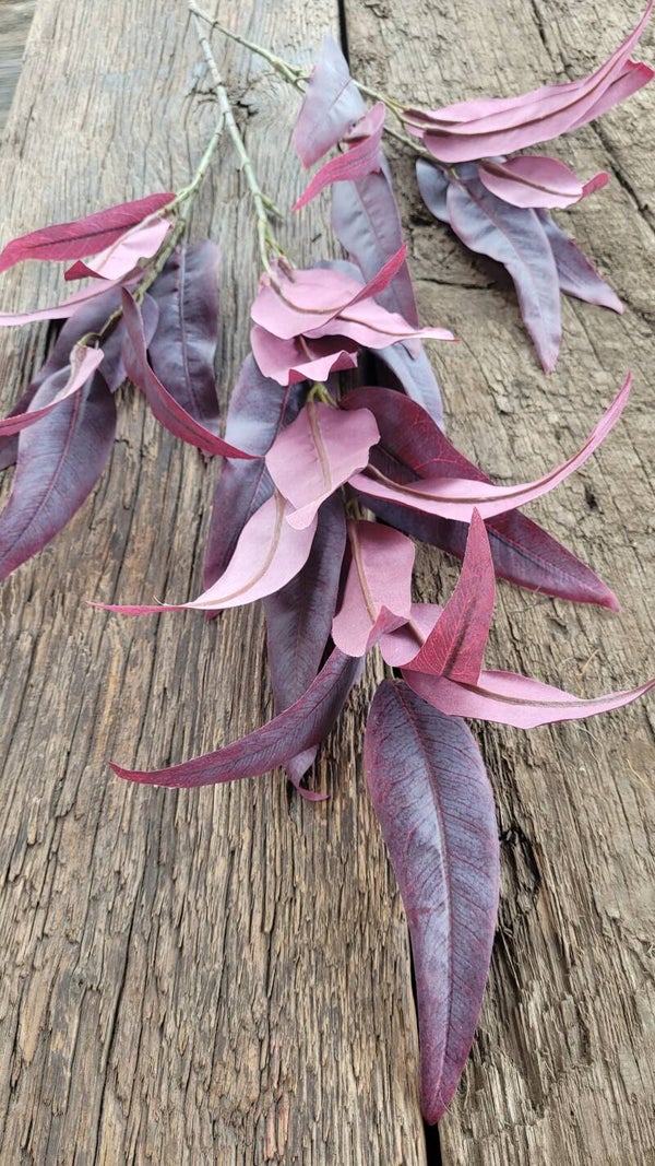 Eucalyptus tak "Paars" 88cm