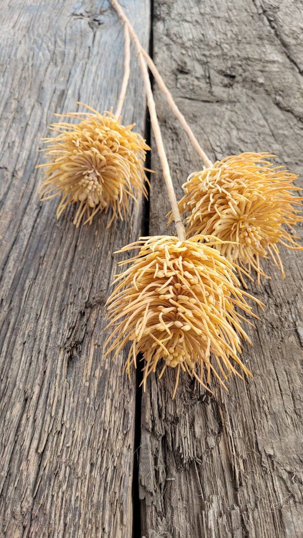 Graan bol "Geel" 79cm