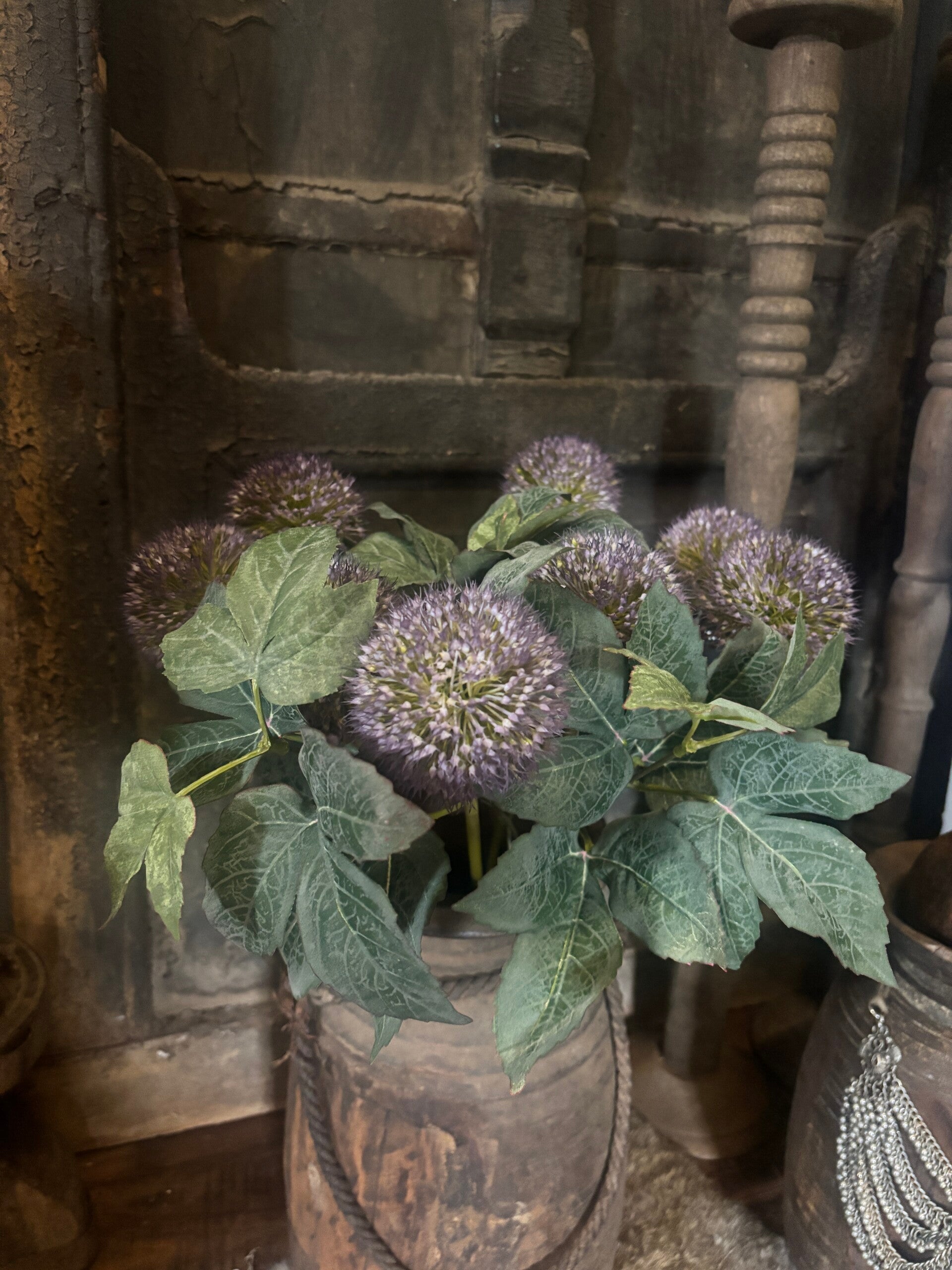 Aliumbol (uienbol) paars