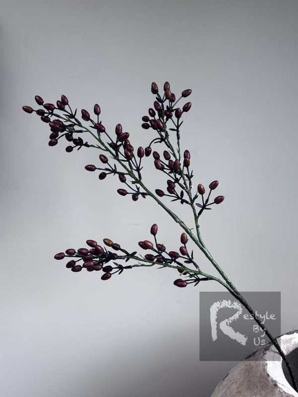 Alnus Brown Tak 80cm