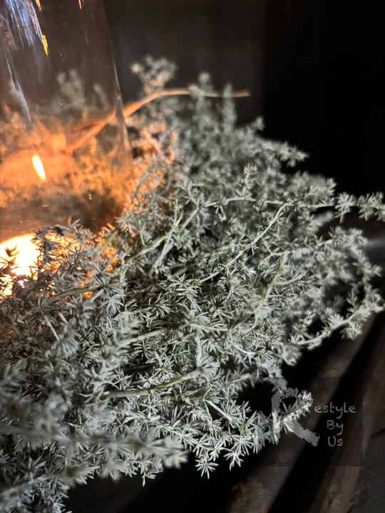 Asparagus krans Dark Green – vergrijsde natuurlijke krans