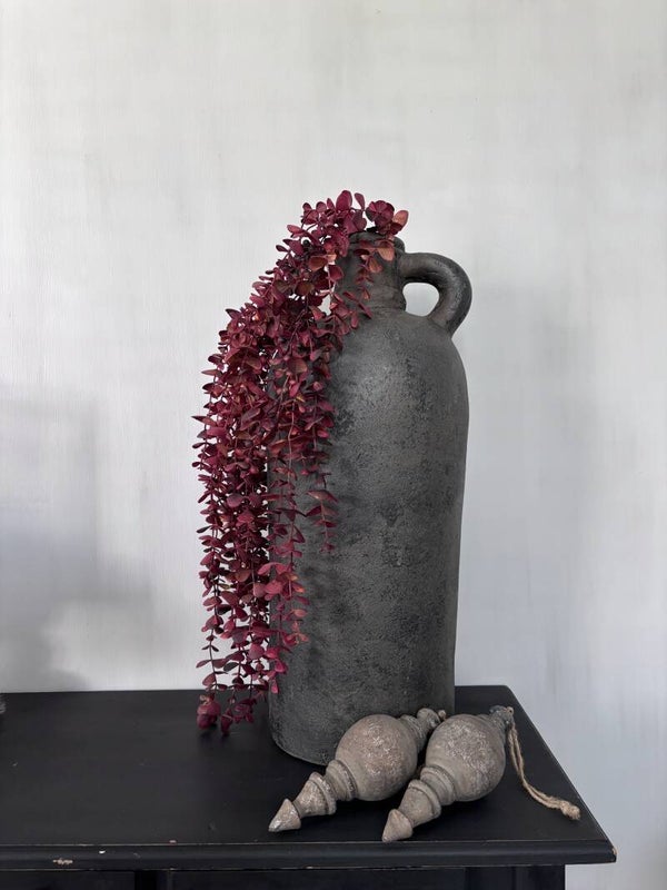 eucalyptus rood hangend