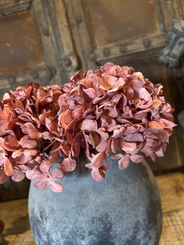hydrangea old pink 28cm