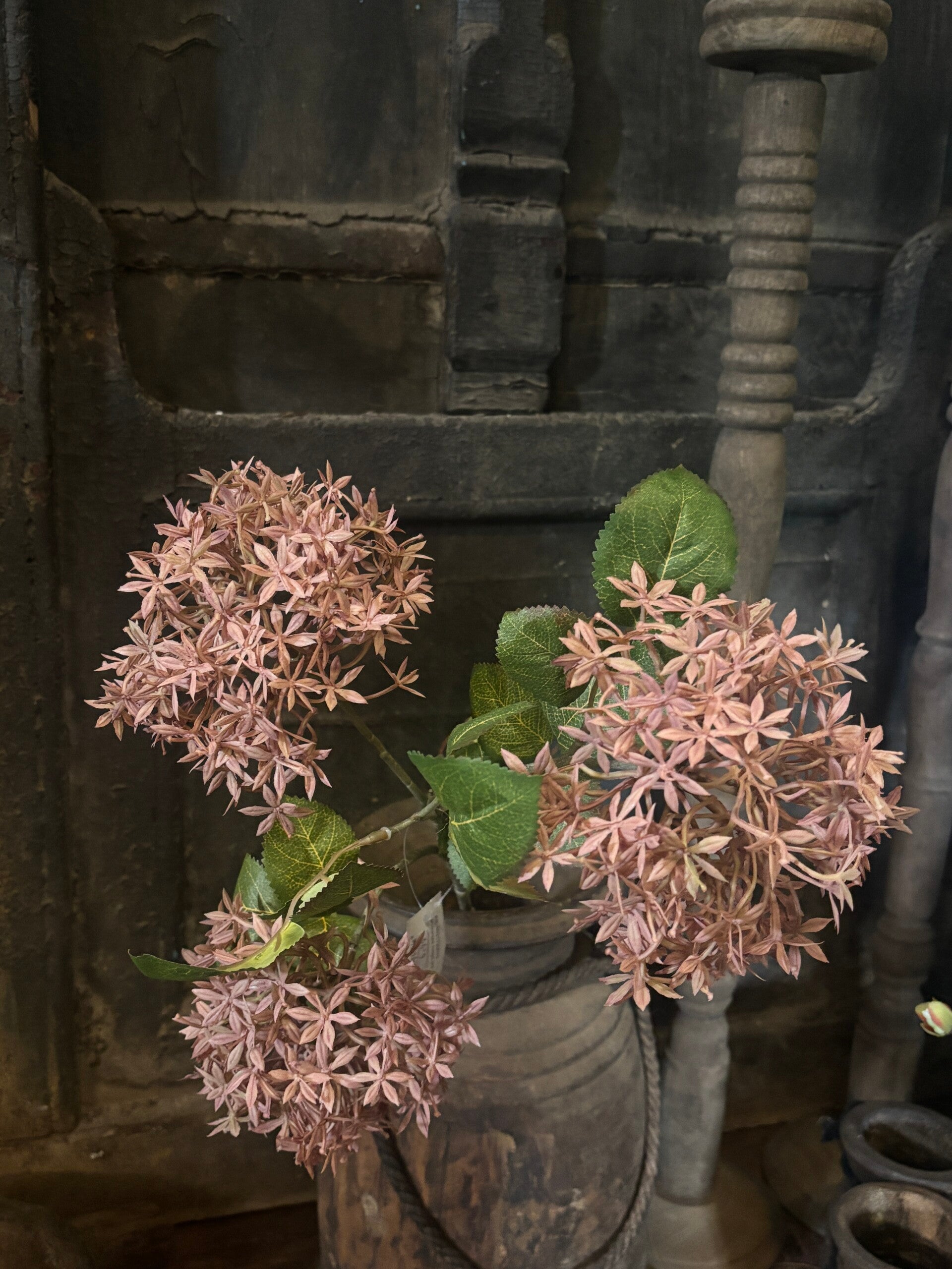 Hydrangea Midget oud roze