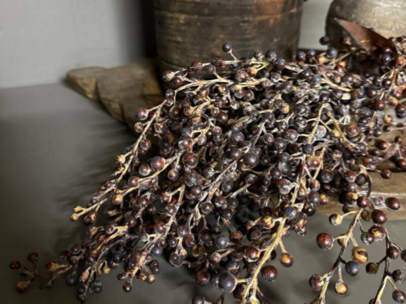 Dadel tak half ingedroogd kunst