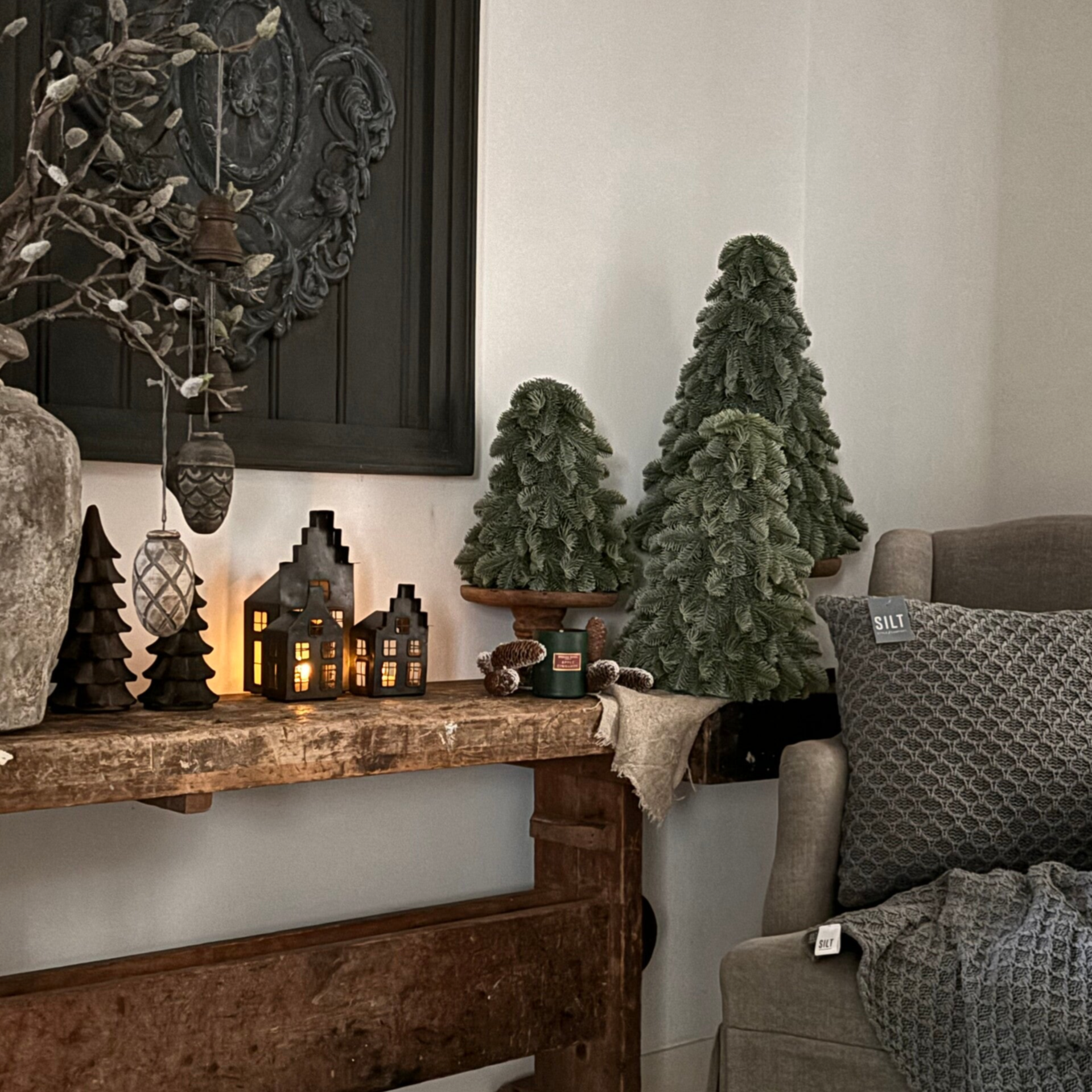 Nobilis boompjes Brynxz 52cm