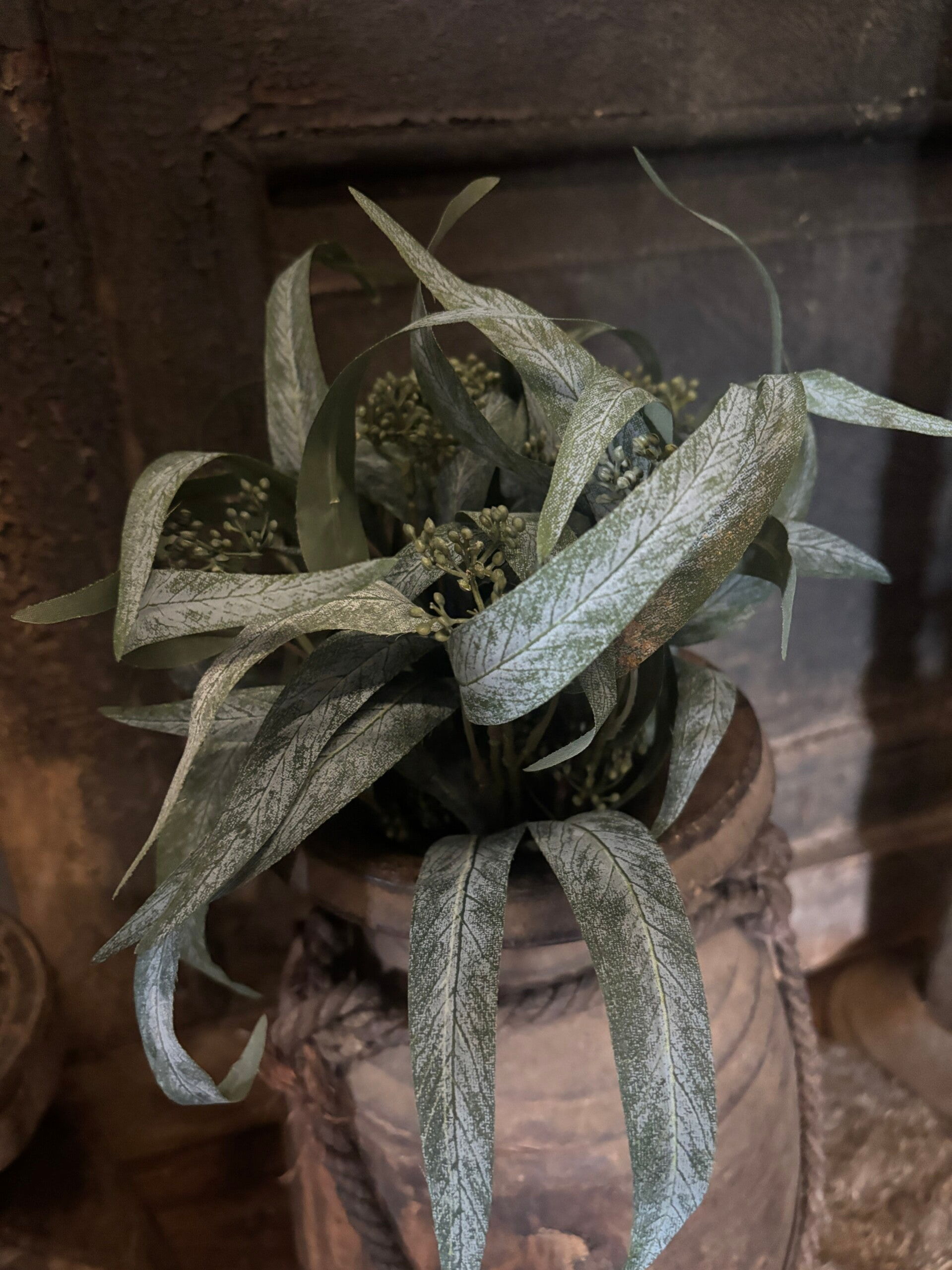 Eucalyptus wit bosje 5 stelen