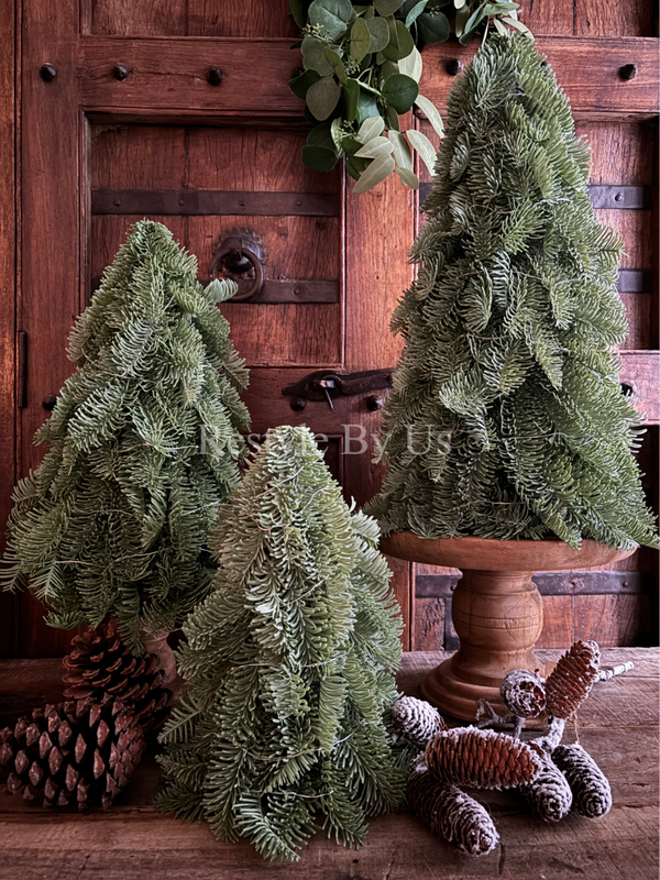 Nobilis boompjes 32cm type 1