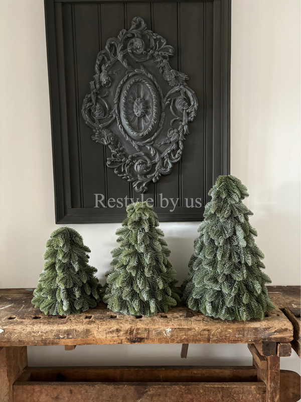 Nobilis boompjes  Brynxz 34cm