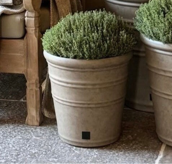 Buitenpotten Aura Peeperkorn S