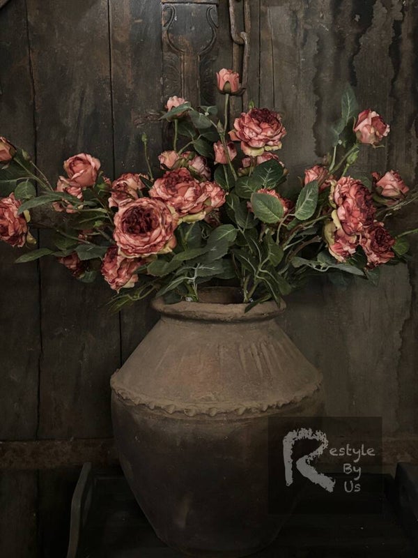 Wilde rozen
