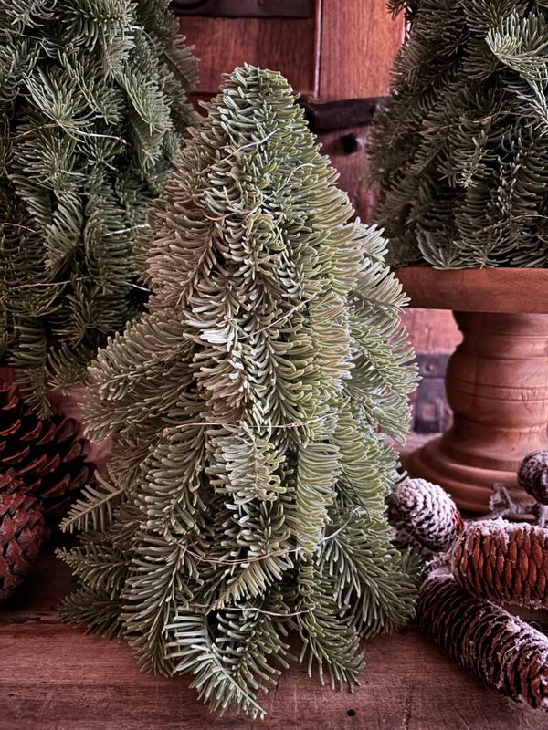 Nobilis boompjes 40cm type 1