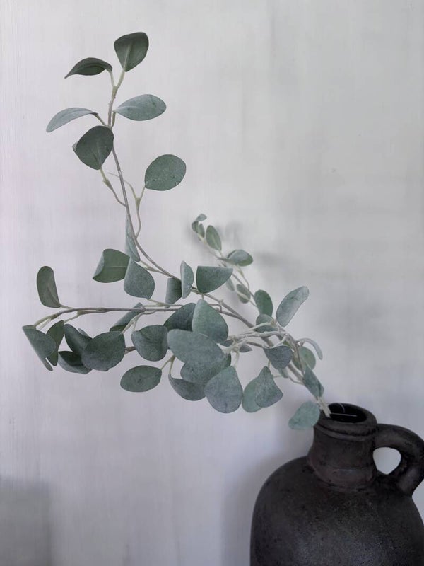 Eucalyptustak