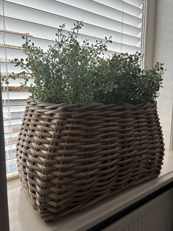 Vensterbank mand Astrid