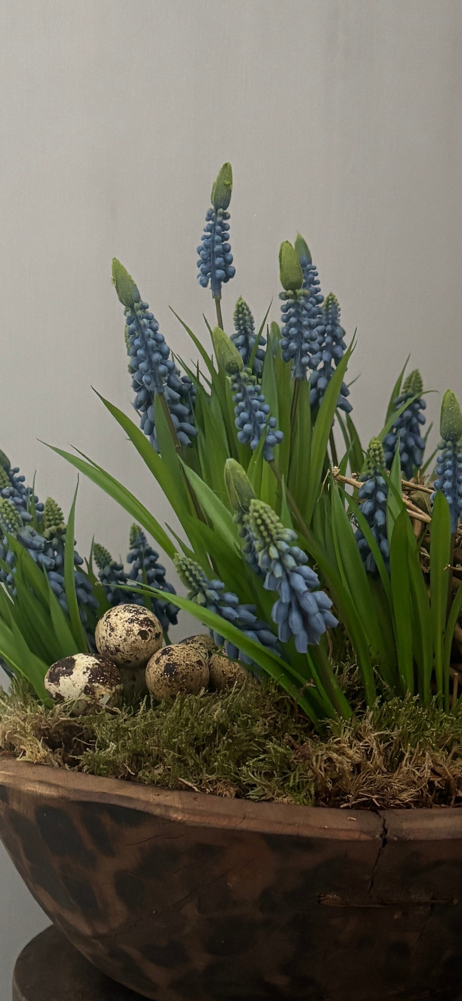 Blauwe druifjes 7 stuks op steeltje