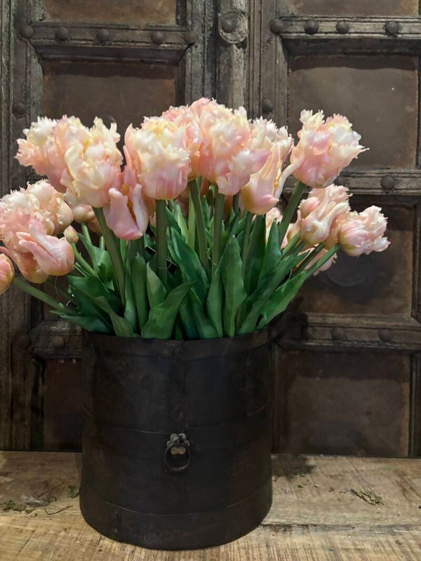 Papegaai tulpen zalm roze