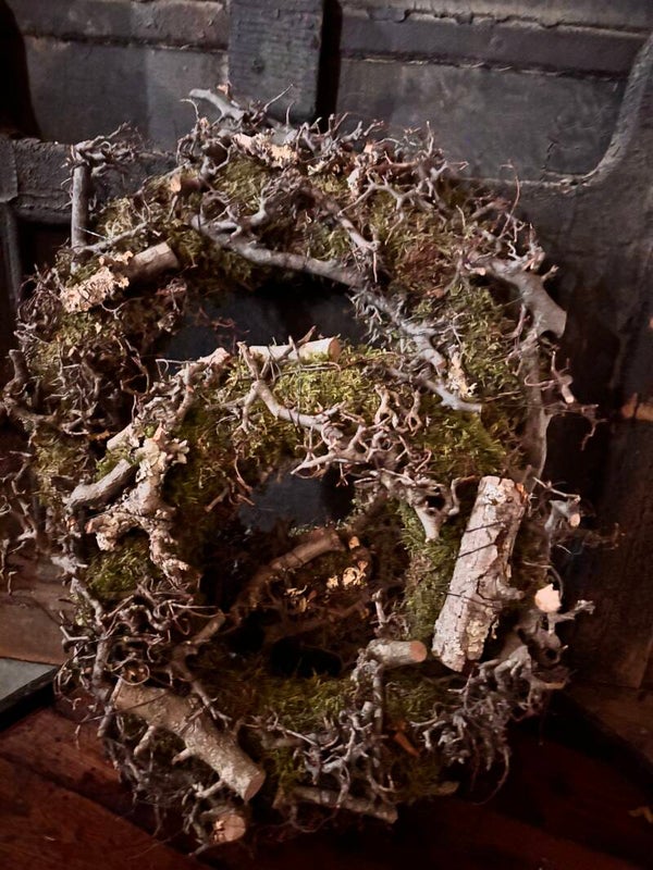 Moskrans Larix Bonsai D45 en 30