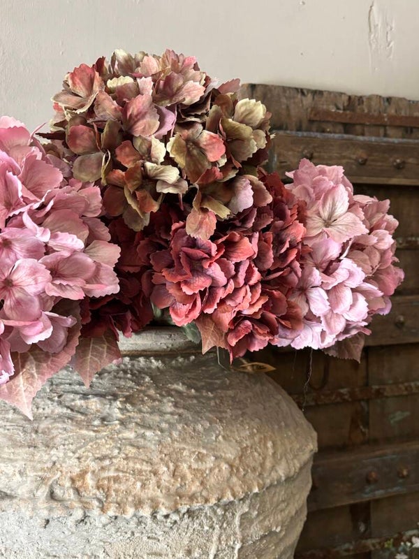 Hortensia 65 cm